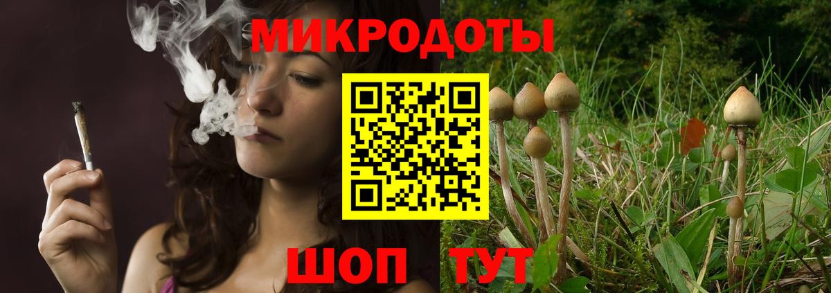 Псилоцибиновые грибы Magic Shrooms  Вход с VPN  Галлюциногенные грибы Psilocybine cubensis  Кушва 